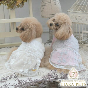 ysNjbN ROPE PICNIC hbLO`[s[Xy^  EGA s[X hX XJ[g Zuz