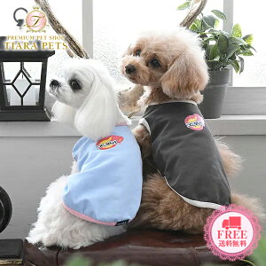 GbNXK[ X-girl t@C[{[^Ny^  EGA gbvX ^N N[Hz 