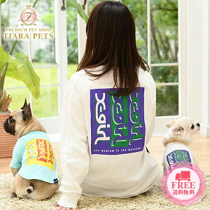 y0̂̓|Cg5{!!&eN[|s!!zGbNXK[ X-girl gv~YSTy^  EGA gbvX TVc Jbg\[ N[Hz 