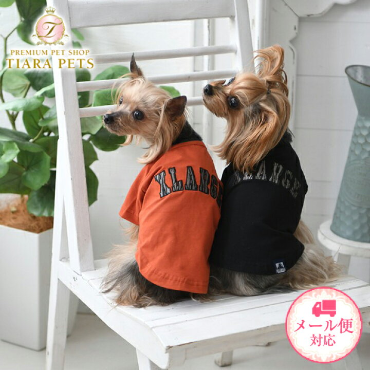 楽天市場 エクストララージ Xlarge ゼブラロゴtシャツ 小型犬 犬服 クール加工 ウエア トップス Tシャツ カットソー Tiara Pets