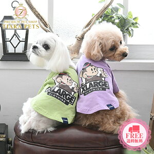 【0のつく日はポイント5倍&各種クーポン発行中!!】エクストララージ XLARGE キースT【小型犬 犬服 ウエア トップス Tシャツ カットソー クール加工】 送料無料