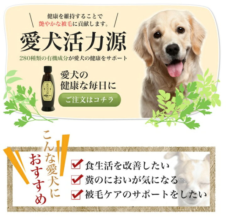 楽天市場 ビッグウッド Bigwood 愛犬活力源 100ml 犬用 サプリメント 腸内 被毛 栄養 Tiara Pets