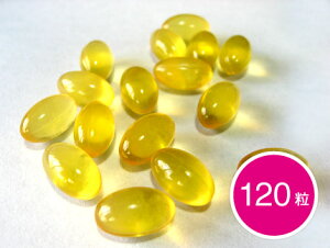 vCPCY IK3tBbVIC EPA+DHA (120j 