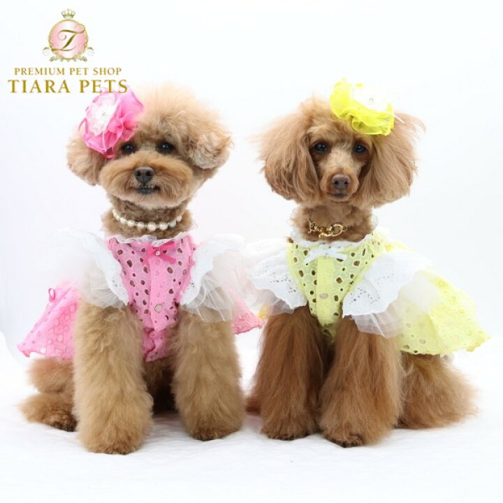 楽天市場】リュクスバーディ Luxe birdie リラワンピース【小型犬 犬服 