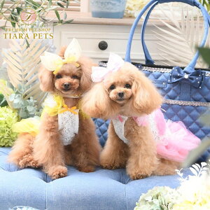 y0̂̓|Cg5{!!&eN[|s!!zNXo[fB Luxe birdie VeL~\[y^  EGA s[X hX Zuz 