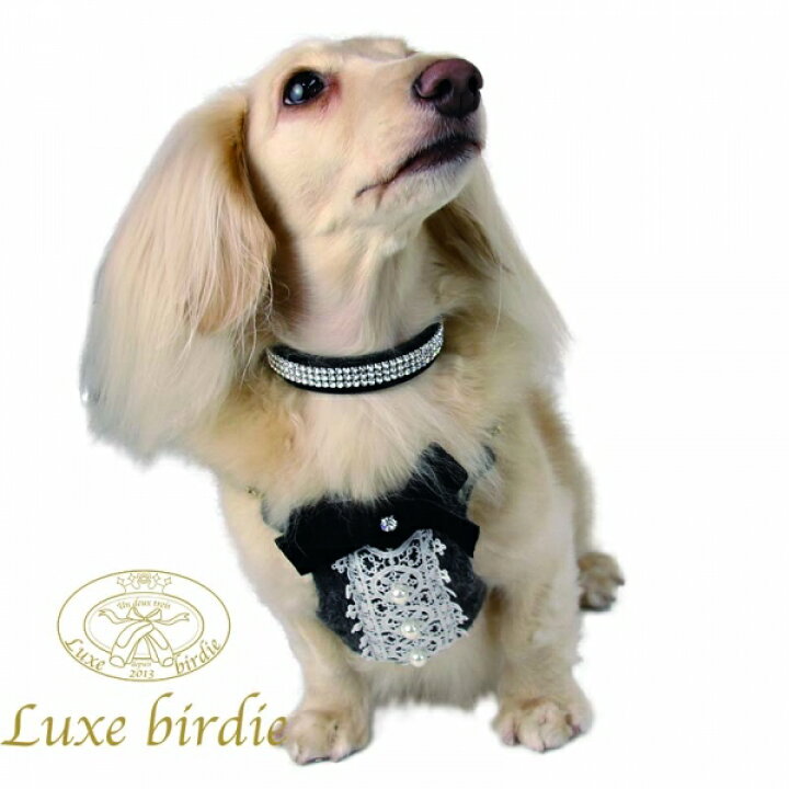 楽天市場】リュクスバーディ Luxe birdie レーンクリスタルカラー 
