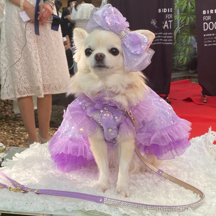楽天市場】リュクスバーディ Luxe birdie フレリードレス【小型犬 犬服 