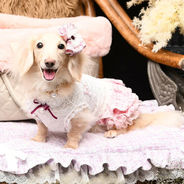 楽天市場】リュクスバーディ Luxe birdie アデルワンピース【小型犬 犬 