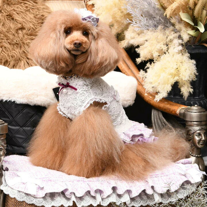 楽天市場】リュクスバーディ Luxe birdie アデルワンピース【小型犬 犬 