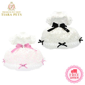 y0̂̓|Cg5{!!&eN[|s!!zNXo[fB Luxe birdie m[u[Xs[Xy^  EGA s[X hX Zuz 