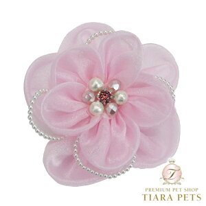 NXo[fB Luxe birdie uAob^y^ wAANZT[ ob^ Zuz