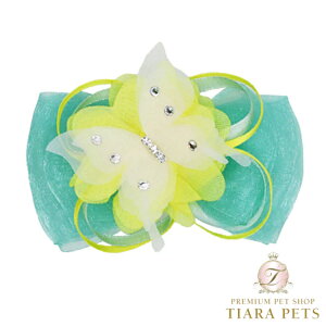 NXo[fB Luxe birdie Lmob^y^ p wAANZT[ ob^ Zuz