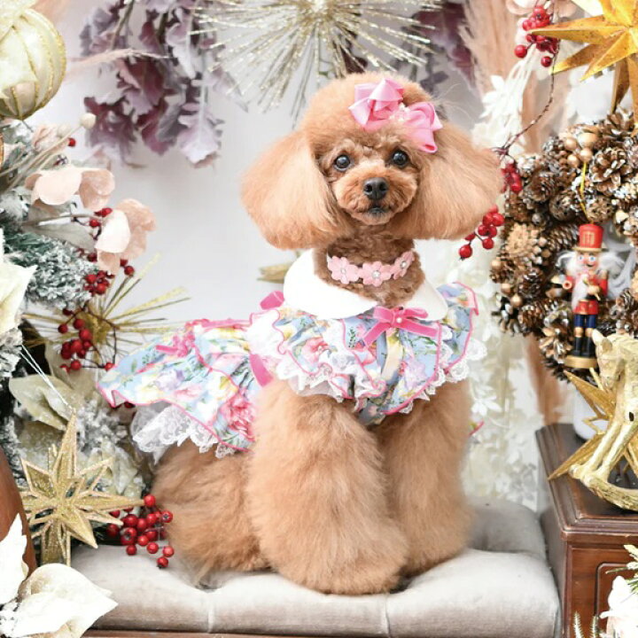 楽天市場】リュクスバーディ Luxe birdie ラヴィルワンピース【小型犬 