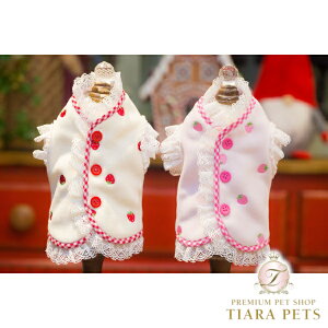 uuu BUL BU-BU {y^  EGA gbvX { Zuz