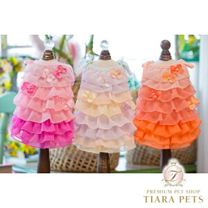 uuu BUL BU-BU }[Ch O/Py^  s[X XJ[g hX Zuz