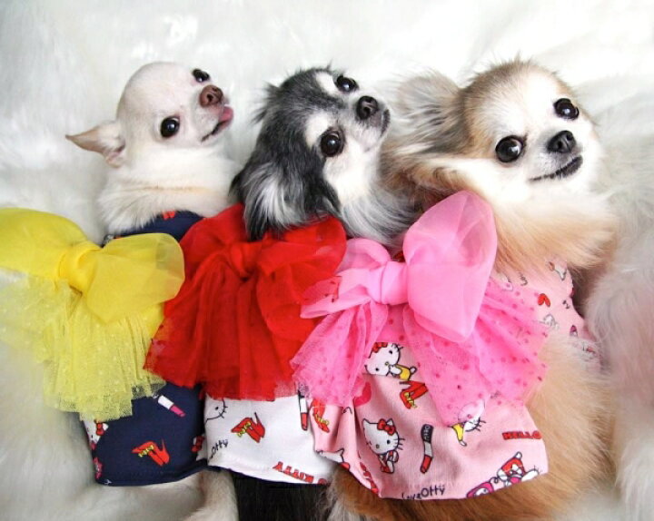 楽天市場 オッティ Otty Hellokitty ハローキティ 浴衣 小型犬 犬服 ゆかた 浴衣 送料無料 Tiara Pets