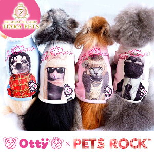 IbeB Otty ×PETS ROCKR{ Eq[gTVcy^  EGA gbvX ^N q[gH z 