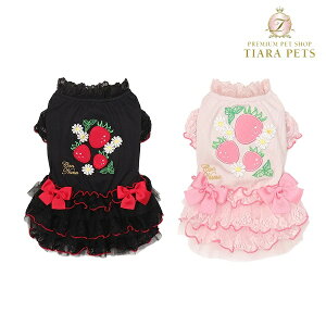 ii CanNana ܂C`S̃[Xts[X 1137y^  EGA s[X hX Zuz 