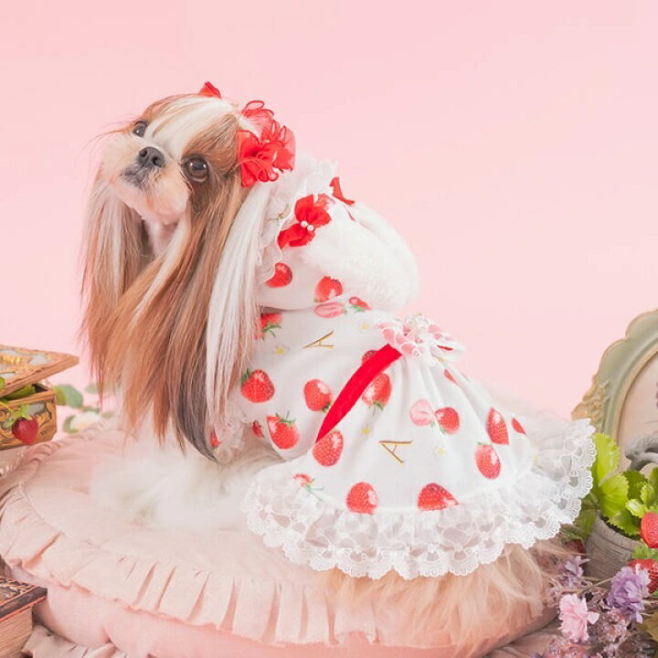 楽天市場】きゃんナナ CanNana 冬いちごうさ耳ワンピース 1145【小型犬 