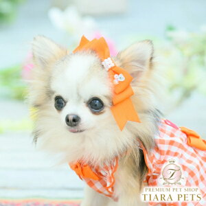 ii CanNana P{ LB-1001y^ ANZT[ obg { wA[ANZT[z