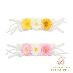 ii CanNana t̃K[xwbhhX HD-023y^ ANZT[ wbhhX wA[ANZT[z