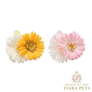 ii CanNana _uK[xob^{ LB-299y^ ANZT[ ob^ { wA[ANZT[z