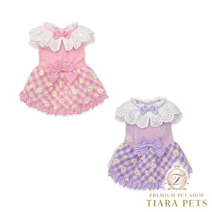 y0̂̓|Cg5{!!&eN[|s!!zii CanNana t[MKs[X 1154y^  hbOEFA s[Xz