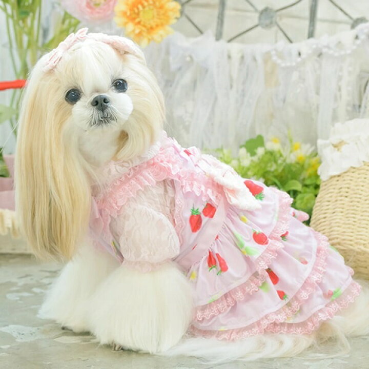 楽天市場】きゃんナナ CanNana あまいイチゴのCOOLキャミワンピース 