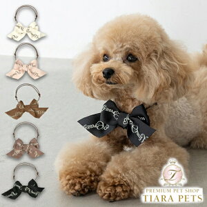 y0̂̓|Cg5{!!&eN[|s!!zNCW[u[ CRAZYBOO CB{`[J[ Fy ^ ANZT[ `[J[ Zuz