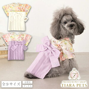 NCW[u[ CRAZYBOO TCh{сy ^ a  Zuz