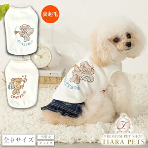 y0̂̓|Cg5{!!&eN[|s!!zNCW[u[ CRAZYBOO Vgƈ̃yA^Ny ^ gbvX ^Ngbv Zuz