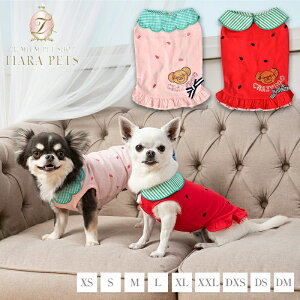 y0̂̓|Cg5{!!&eN[|s!!zNCW[u[ CRAZYBOO ݕtt[c^Ny ^ EGA Zu gbvX ^Nz 