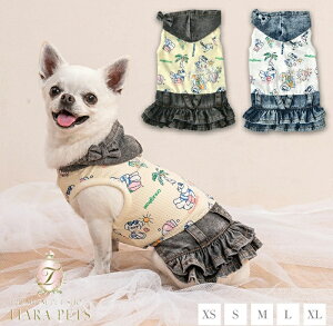 y0̂̓|Cg5{!!&eN[|s!!zNCW[u[ CRAZYBOO fjt[htsy ^ EGA Zu s[Xz 