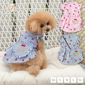 y0̂̓|Cg5{!!&eN[|s!!zNCW[u[ CRAZYBOO n[g|VFbgsy ^ EGA Zu s[Xz 