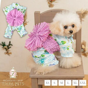 NCW[u[ CRAZYBOO ry ^ EGA Zu s[Xz 