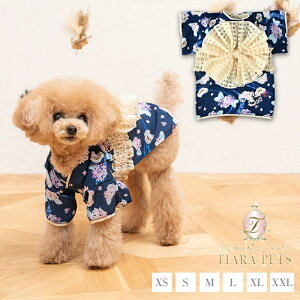NCW[u[ CRAZYBOO ߁y ^ EGA Zu s[Xz 