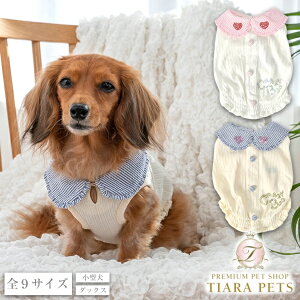 y0̂̓|Cg5{!!&eN[|s!!zNCW[u[ CRAZYBOO ۋ݃V[O^Ny ^ EGA gbvX ^Ngbv Zuz