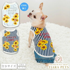 y0̂̓|Cg5{!!&eN[|s!!zNCW[u[ CRAZYBOO Ђ܂XgCv^Ny ^ EGA gbvX ^Ngbv Zuz