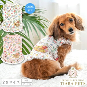 y0̂̓|Cg5{!!&eN[|s!!zNCW[u[ CRAZYBOO gsJt^Ny ^ EGA gbvX ^Ngbv Zuz