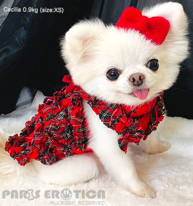 楽天市場】パリエロ PARIERO PINK GOLD Plaid Tunic【小型犬 犬服 