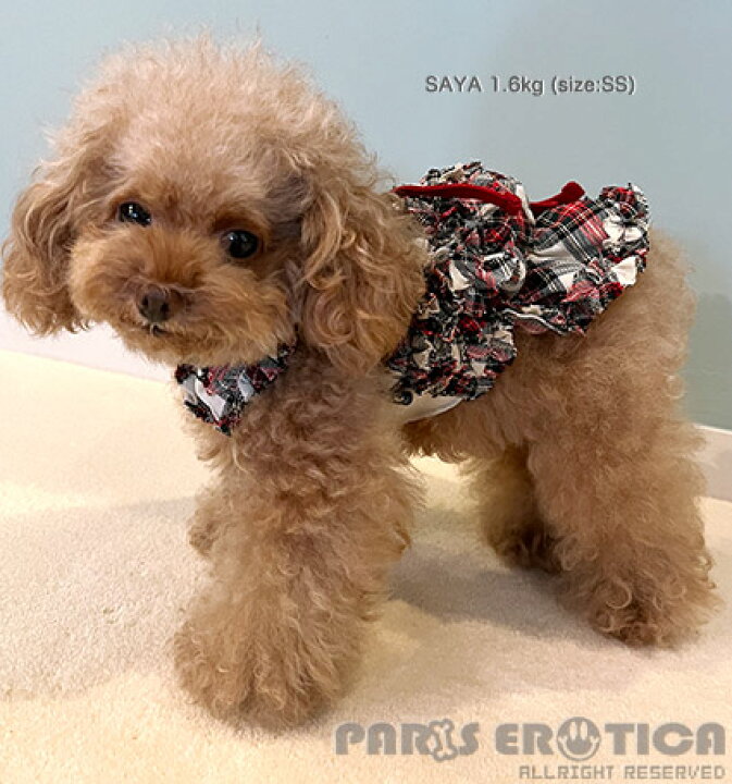 楽天市場】パリエロ PARIERO PINK GOLD Plaid Tunic【小型犬 犬服 