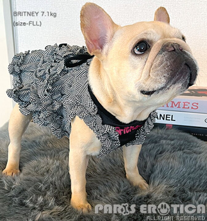楽天市場】パリエロ PARIERO PINK GOLD Plaid Tunic【小型犬 犬服 