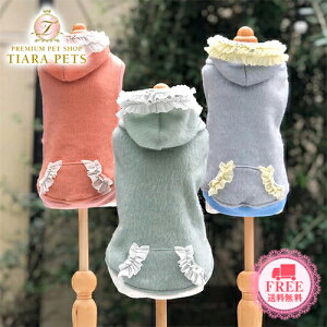 Sbhs@ GODPIVA ӂӂp[J[y^  EGA gbvX p[J Zuz 