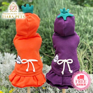 Sbhs@ GODPIVA xW^us[Xy^  EGA s[X hX Zuz 