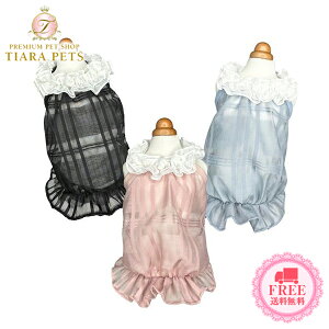 Sbhs@ GODPIVA COOL`FbNo[^Ny^  EGA gbvX ^N Zuz 