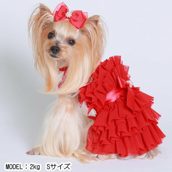 楽天市場】ゴッドピヴァ GODPIVA チュールグラマラスドレス【小型犬 犬 