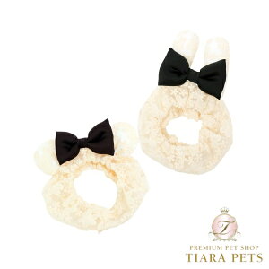 Sbhs@ GODPIVA [XAj}Xk[hy^ EGA XJ[t 񊪂 Xk[h Jo[  Zuz