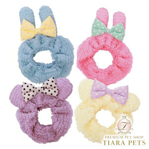 Sbhs@ GODPIVA ~tB[Aj}Xk[hy^ p Xk[h Zuz