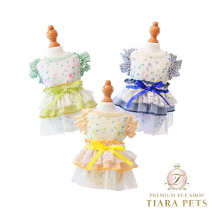 Sbhs@ GODPIVA K[ft[^Ny^  gbvX ^Ngbv Zuz