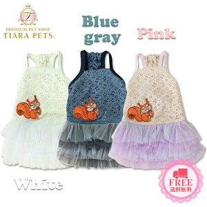 J&KAj}Y J&K animals ԕ`` s[X(SS/SS-L)y^  EGA s[X hXz 